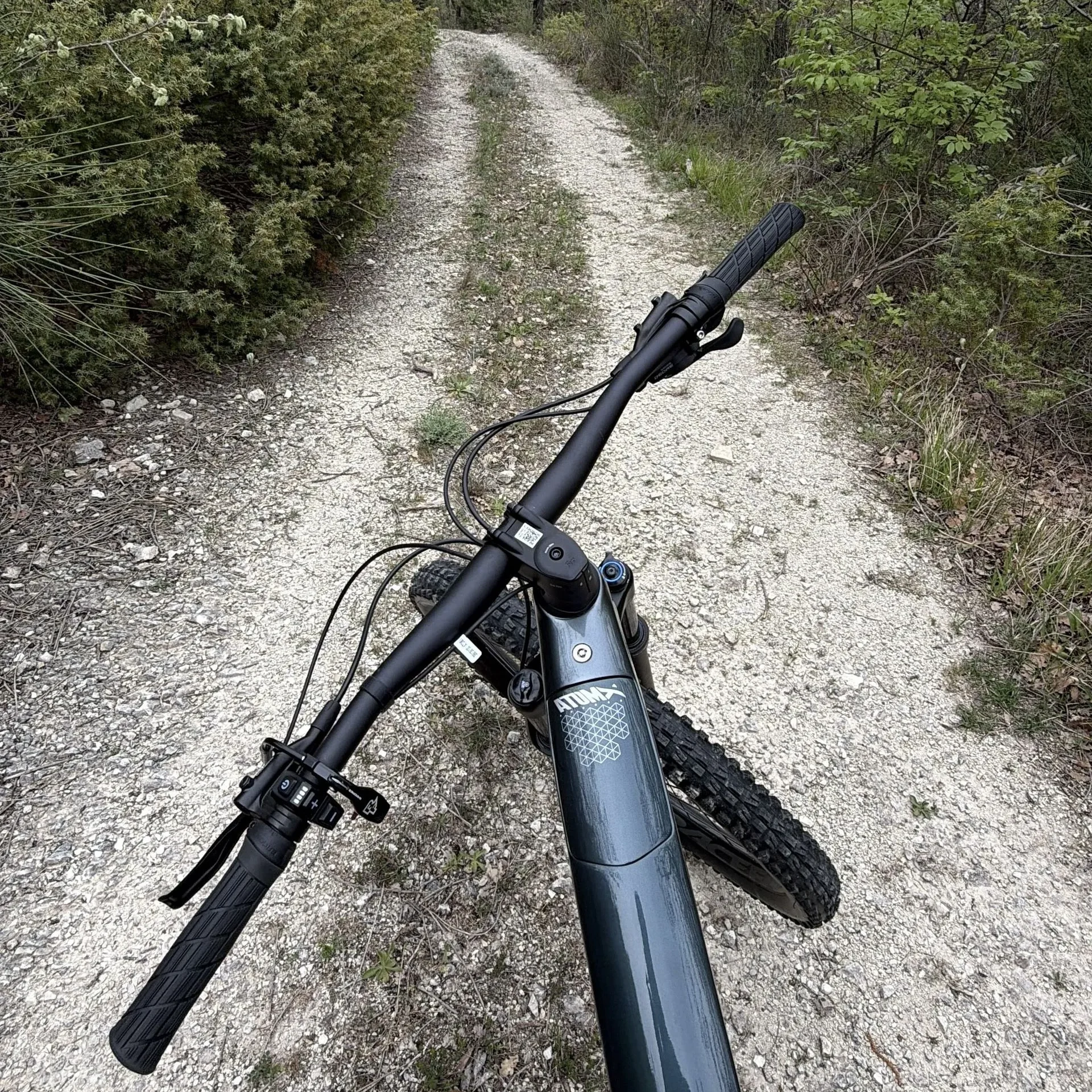 escursioni in ebike milvusnat