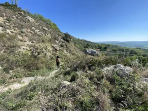 servizi turistici 1 milvusnat