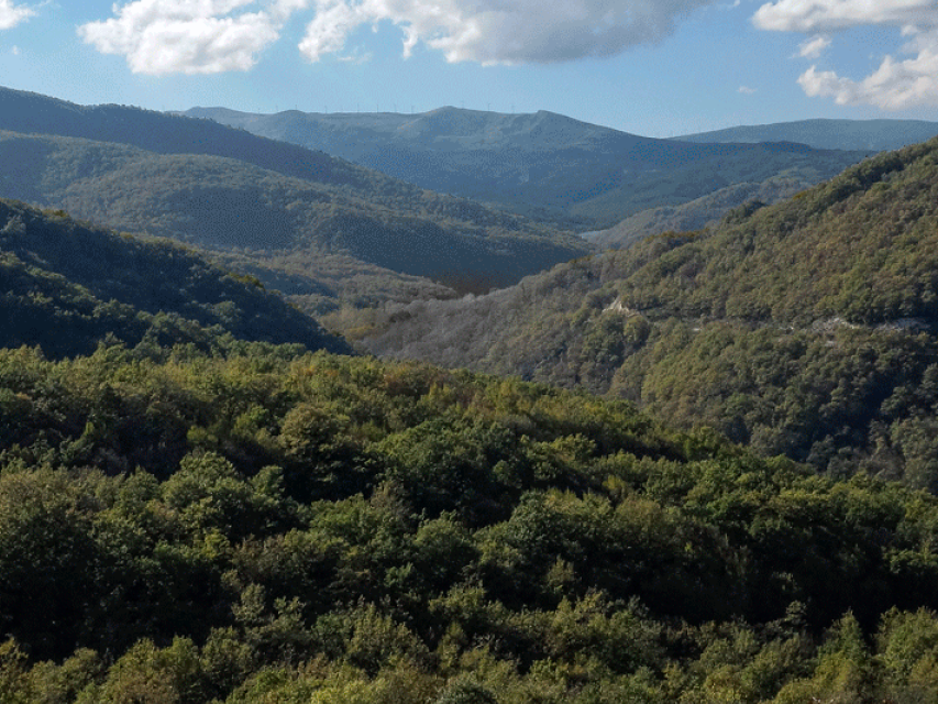 servizi turistici 4 milvusnat
