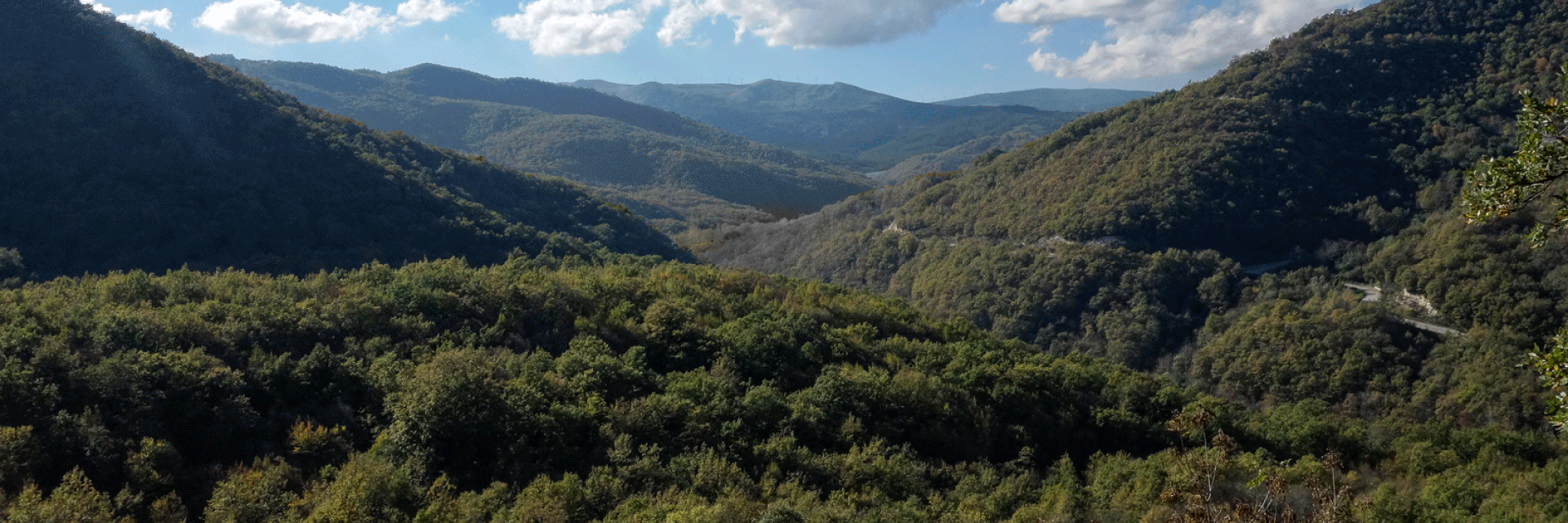 servizi turistici 4 milvusnat