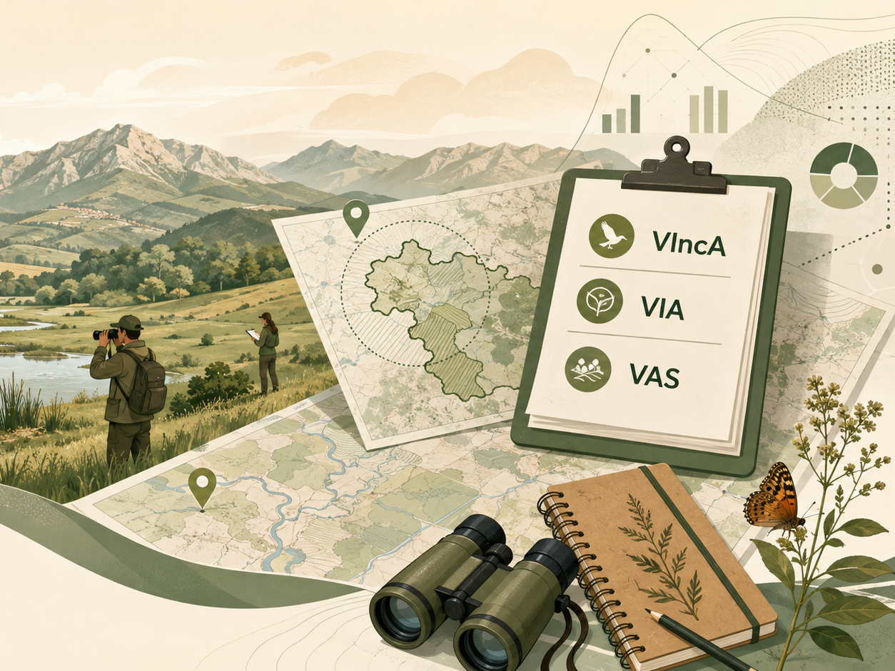 Relazioni VIA - VAS - VIncA e monitoraggi Ambientali
